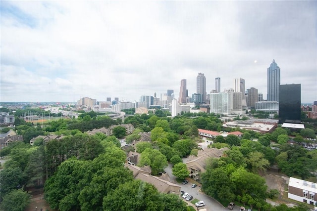 aerial view of a skyline view