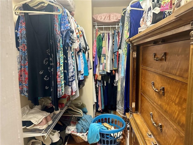 226 Hawk Hill Ln, Lakemont, GA 30552 - view of walk in closet