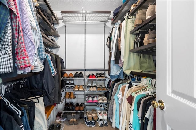 spacious closet with carpet flooring