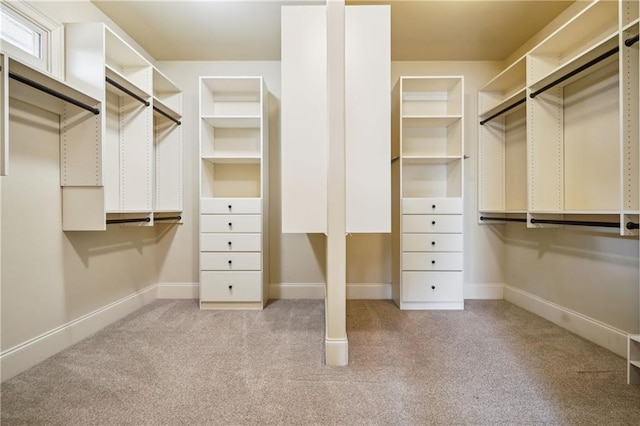 1211 Thornwell Dr, Brookhaven, GA 30319 - walk in closet featuring carpet