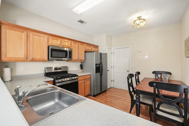 kitchen with sink, light hardwood / wood-style flooring, and stainless steel appliances