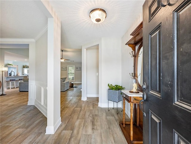 132 Mcmillian Ct, Winder, GA 30680 - entryway with light wood-type flooring, a ceiling fan, and ornamental molding
