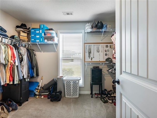 132 Mcmillian Ct, Winder, GA 30680 - walk in closet featuring carpet flooring