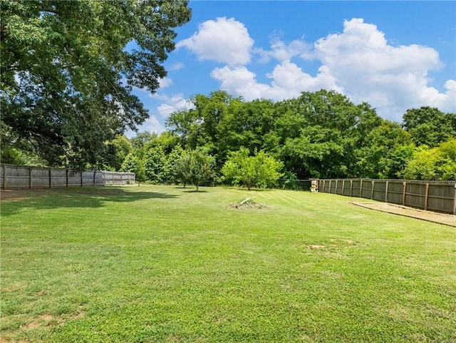 132 Mcmillian Ct, Winder, GA 30680 - view of yard