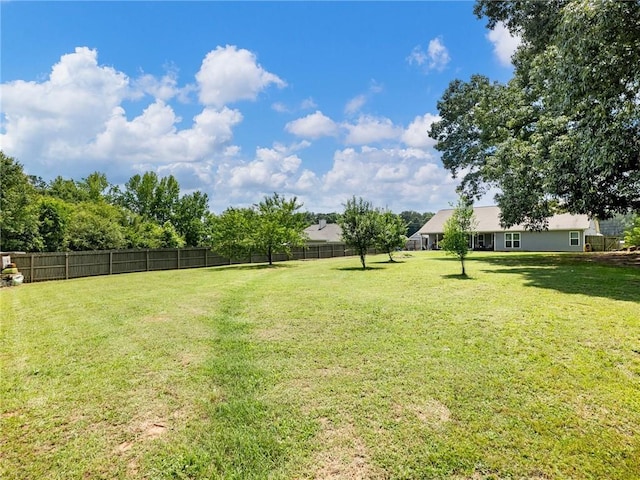 132 Mcmillian Ct, Winder, GA 30680 - view of yard