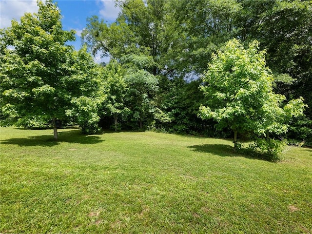 132 Mcmillian Ct, Winder, GA 30680 - view of green lawn