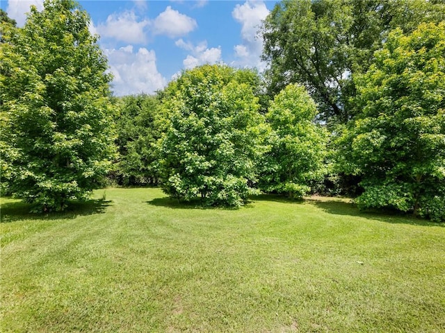 132 Mcmillian Ct, Winder, GA 30680 - view of green lawn