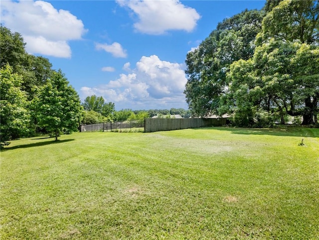 132 Mcmillian Ct, Winder, GA 30680 - view of yard