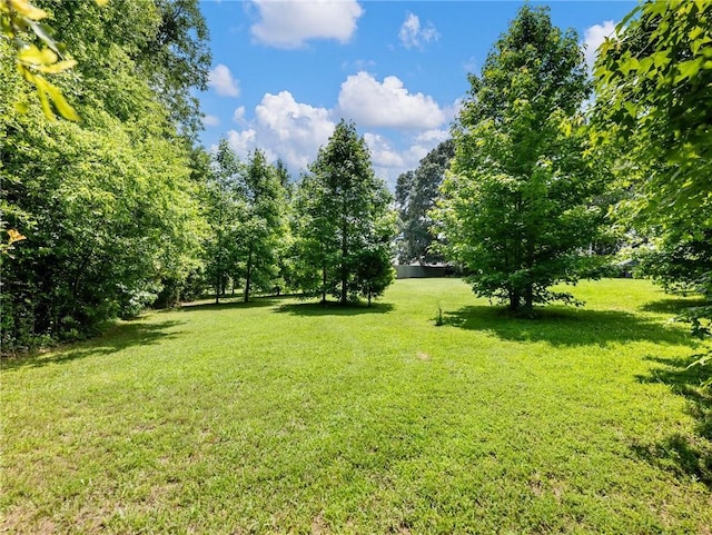 132 Mcmillian Ct, Winder, GA 30680 - view of green lawn