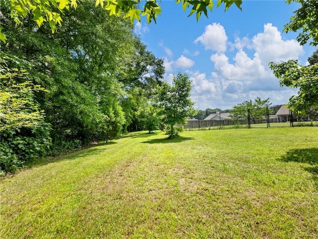 132 Mcmillian Ct, Winder, GA 30680 - view of yard