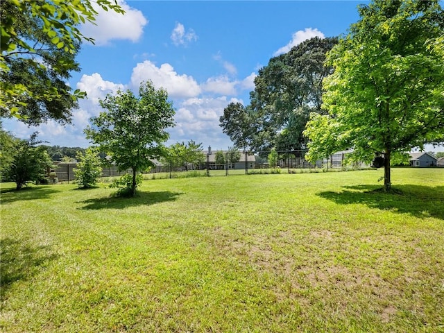 132 Mcmillian Ct, Winder, GA 30680 - view of yard