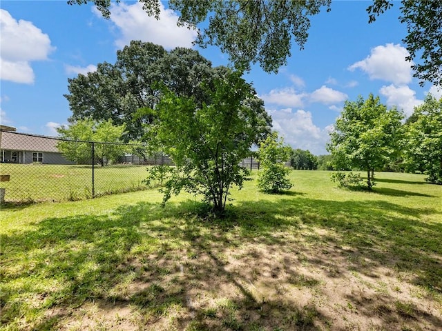 132 Mcmillian Ct, Winder, GA 30680 - view of yard