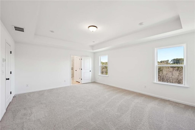 empty room featuring light carpet and a tray ceiling