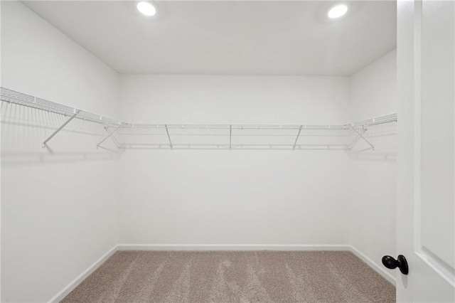 spacious closet with carpet flooring