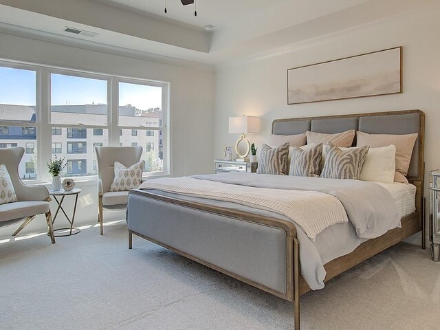 carpeted bedroom featuring a tray ceiling