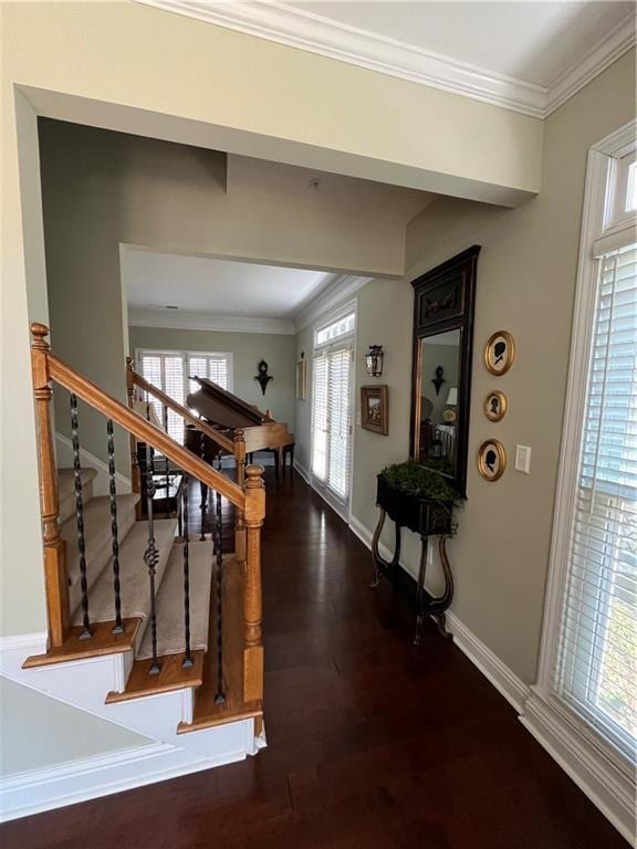 interior space with baseboards, wood finished floors, and crown molding