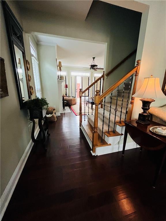 staircase with ceiling fan, baseboards, and hardwood / wood-style flooring