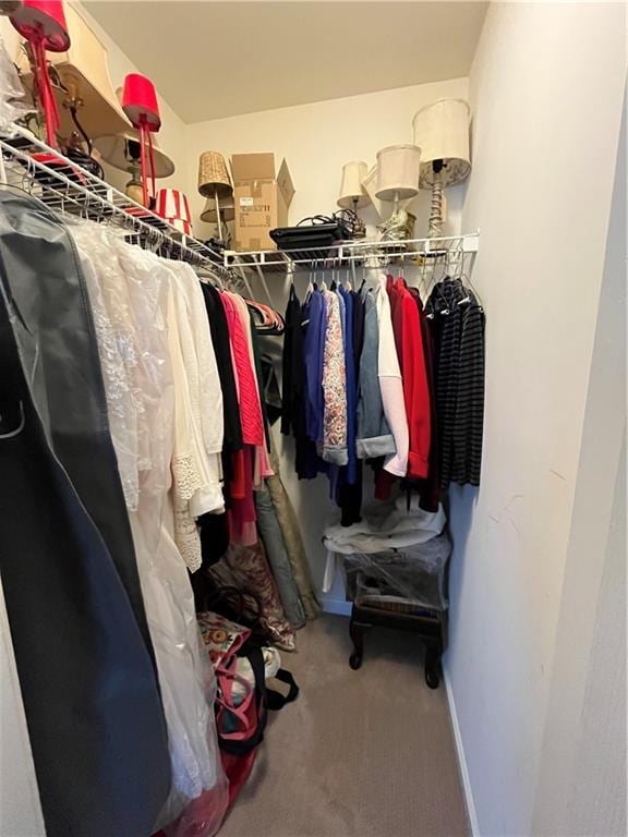 spacious closet with carpet