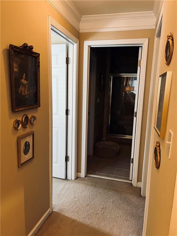 corridor with baseboards, carpet floors, and ornamental molding