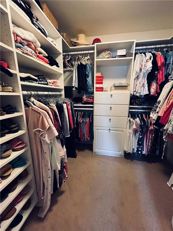 walk in closet with carpet flooring