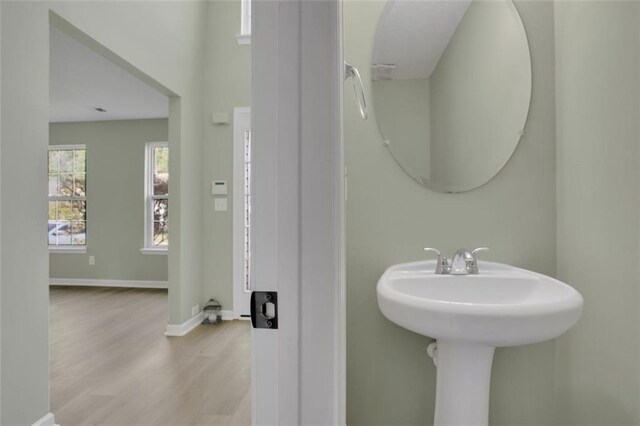 bathroom with wood-type flooring and sink