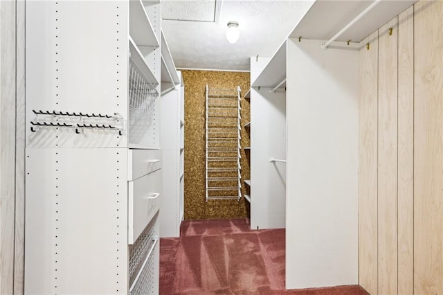8464 Pleasant Hill Rd, Lithonia, GA 30058 - spacious closet featuring carpet