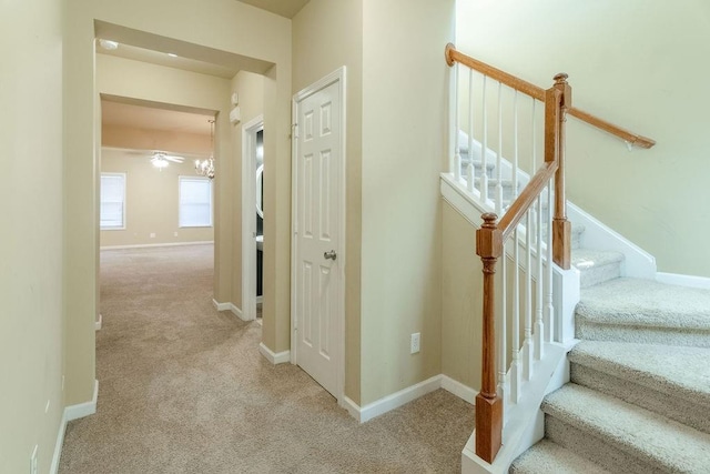 staircase with carpet flooring