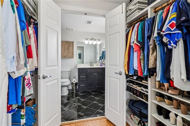 2465 Main St Unit 201, Atlanta, GA 30344 - bathroom with vanity and a walk in closet