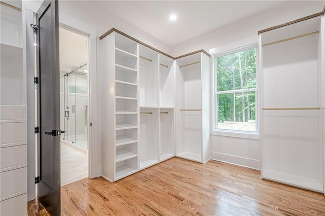 1273 Grayson Pkwy, Grayson, GA 30017 - spacious closet featuring light wood-type flooring