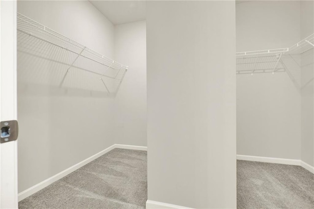 56 Preserve Pt, Jasper, GA 30143 - spacious closet featuring carpet flooring