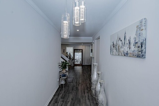 foyer featuring dark hardwood / wood-style flooring, an inviting chandelier, and ornamental molding