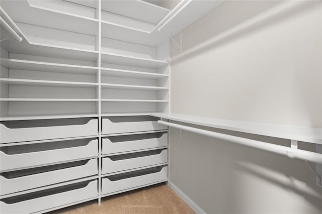 walk in closet with light carpet