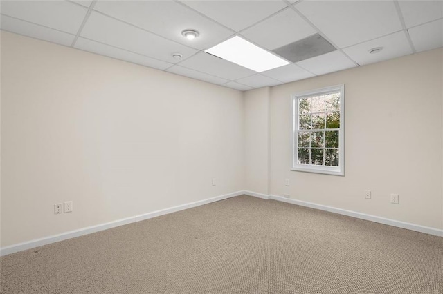 unfurnished room with carpet and a paneled ceiling