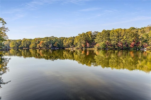 property view of water