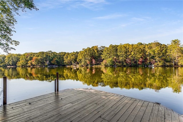 view of dock with a water view