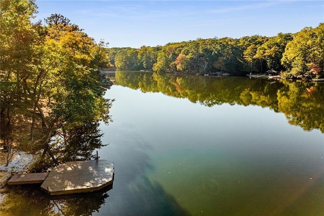 property view of water with a dock