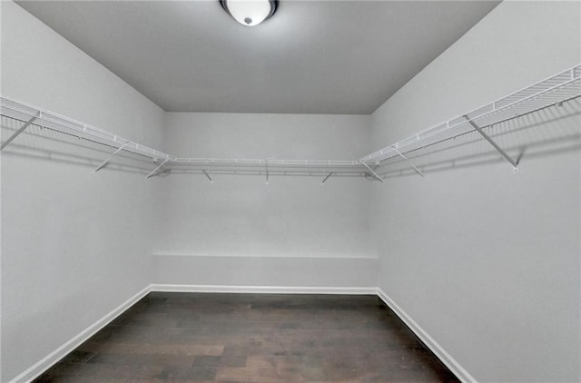 spacious closet featuring dark wood-style floors