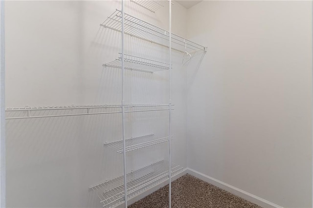 260 Pleasant Grove Cir, Mcdonough, GA 30252 - walk in closet with carpet floors