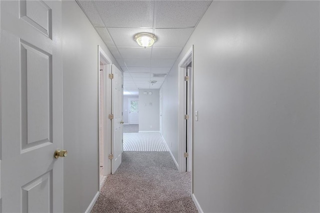 260 Pleasant Grove Cir, Mcdonough, GA 30252 - hall with carpet, a paneled ceiling, and baseboards