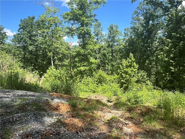 75 Hope Ct, Ellijay, GA 30540