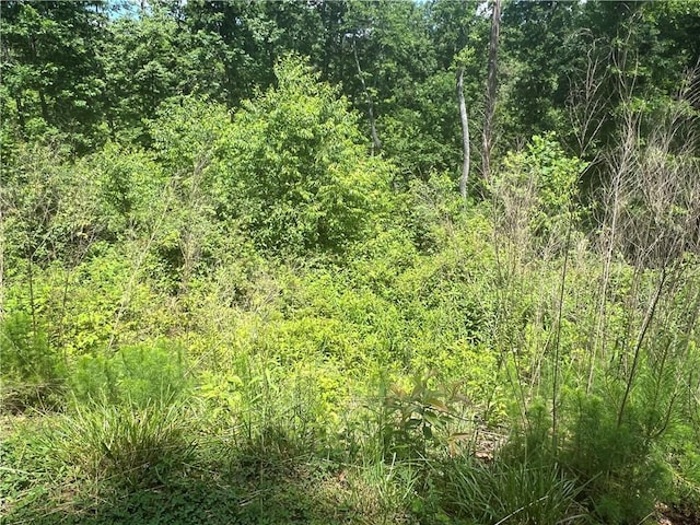 75 Hope Ct, Ellijay, GA 30540