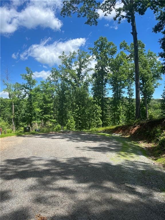 75 Hope Ct, Ellijay, GA 30540