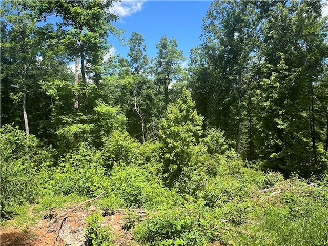 75 Hope Ct, Ellijay, GA 30540