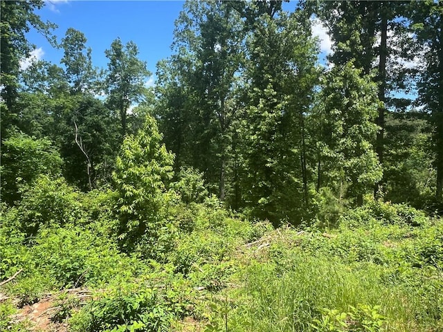 75 Hope Ct, Ellijay, GA 30540