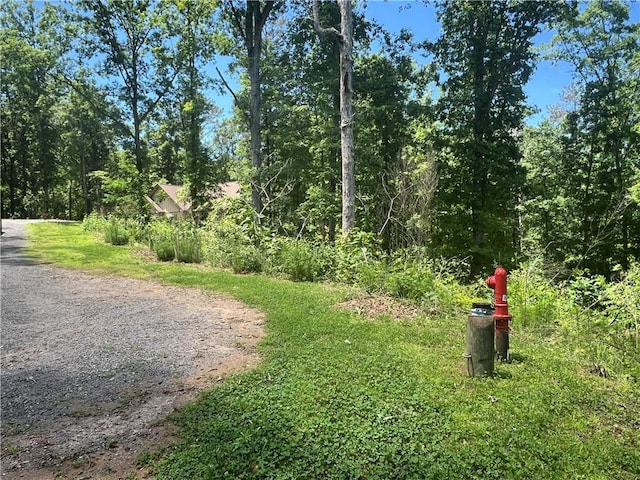75 Hope Ct, Ellijay, GA 30540