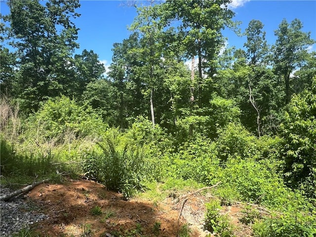 75 Hope Ct, Ellijay, GA 30540