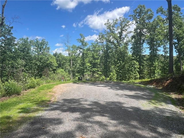 75 Hope Ct, Ellijay, GA 30540