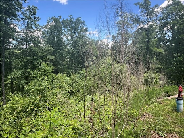 75 Hope Ct, Ellijay, GA 30540