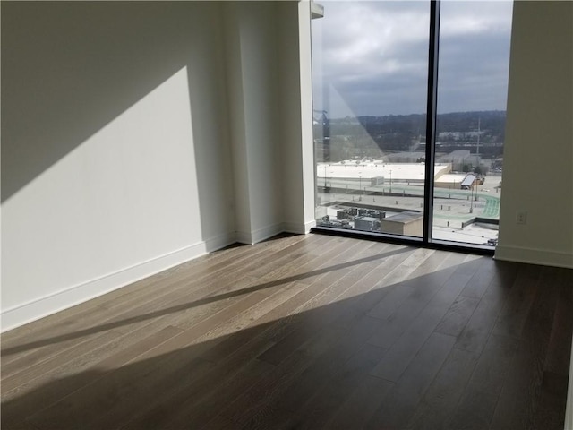 spare room featuring wood-type flooring