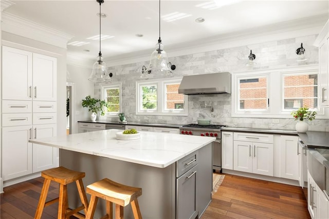 2015 N Decatur Rd NE, Atlanta, GA 30307 - kitchen with high end stainless steel range, dark wood-style floors, backsplash, and ventilation hood